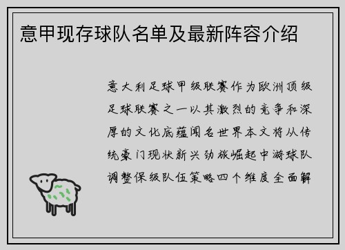 意甲现存球队名单及最新阵容介绍
